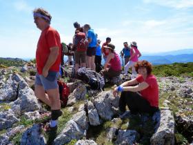 photo coins arrondis