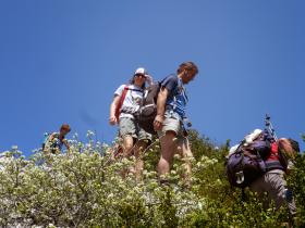 photo coins arrondis