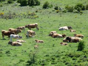 photo coins arrondis