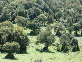 photo coins arrondis