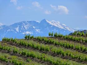 photo coins arrondis