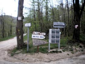 photo coins arrondis