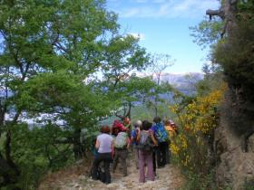 photo coins arrondis