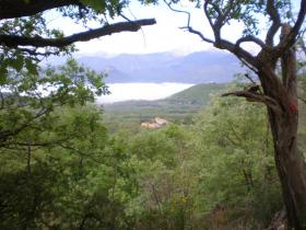 photo coins arrondis