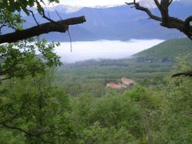 photo coins arrondis