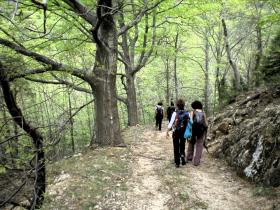 photo coins arrondis