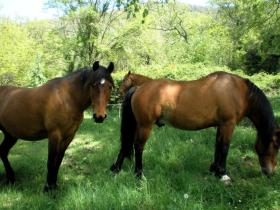 photo coins arrondis