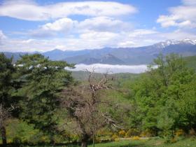 photo coins arrondis