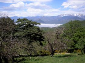 photo coins arrondis