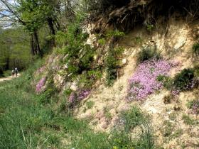 photo coins arrondis