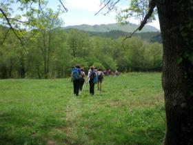 photo coins arrondis