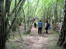 photo coins arrondis