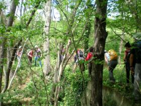 photo coins arrondis