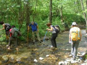 photo coins arrondis