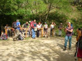 photo coins arrondis