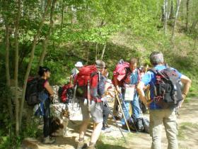 photo coins arrondis