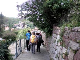 photo coins arrondis