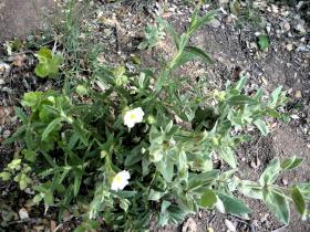 photo coins arrondis