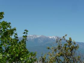 photo coins arrondis