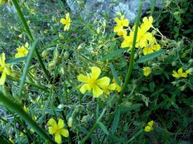 photo coins arrondis