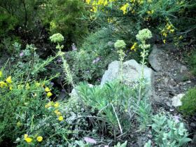 photo coins arrondis