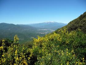 photo coins arrondis