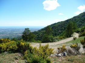 photo coins arrondis