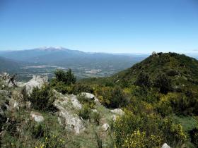 photo coins arrondis