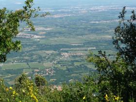 photo coins arrondis