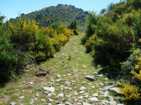 photo coins arrondis