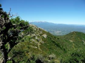 photo coins arrondis