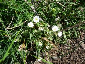 photo coins arrondis