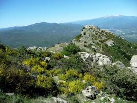 photo coins arrondis