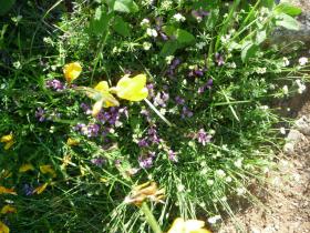 photo coins arrondis