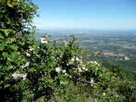 photo coins arrondis