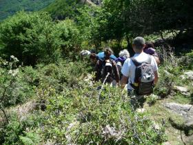 photo coins arrondis