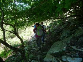 photo coins arrondis