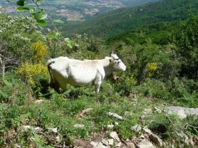 photo coins arrondis