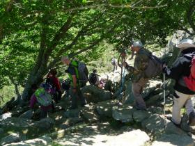 photo coins arrondis