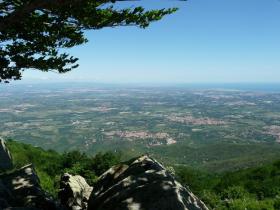 photo coins arrondis