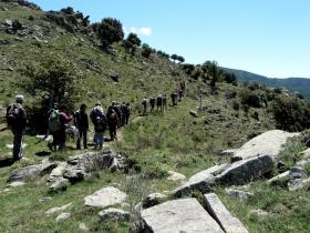 photo coins arrondis