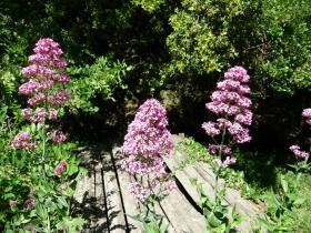 photo coins arrondis