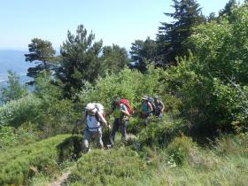 photo coins arrondis