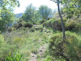 photo coins arrondis