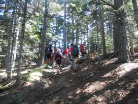 photo coins arrondis