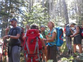 photo coins arrondis