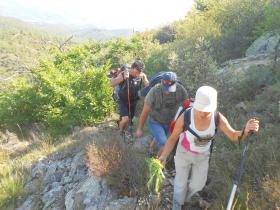 photo coins arrondis