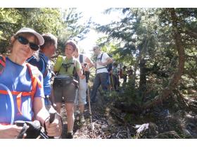 photo coins arrondis