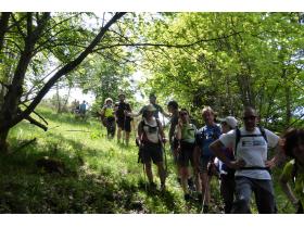 photo coins arrondis