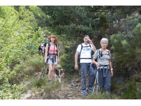 photo coins arrondis